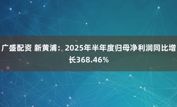 广盛配资 新黄浦：2025年半年度归母净利润同比增长368.46%